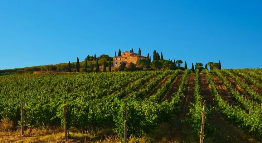 Agriturismo La Torre dell'Oliveto - Image 1