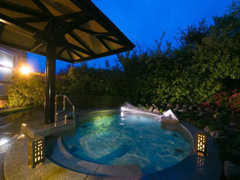 Tresta Shirayama Hotel - Image 1