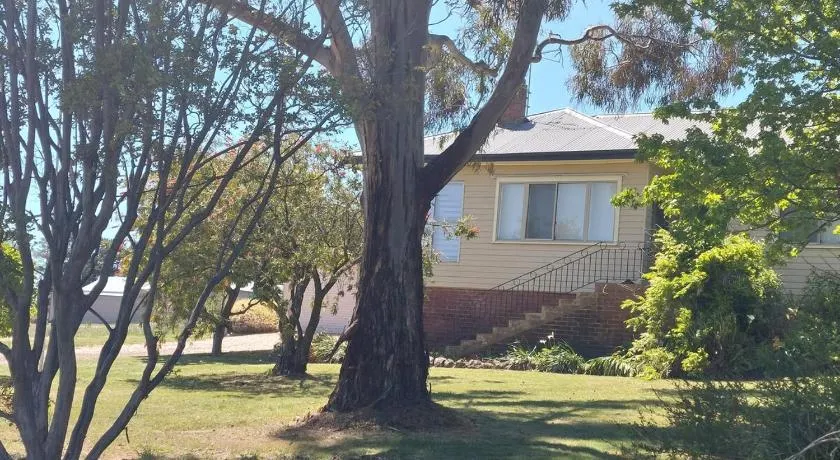 Dally's Nashdale - Image 1