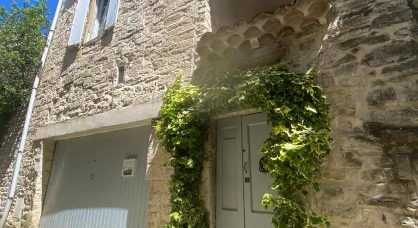 Le vieux figuier - Image 1