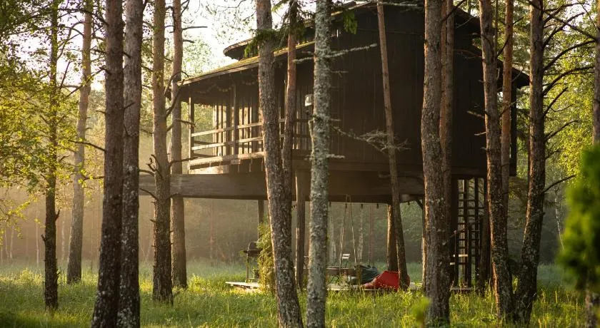 Treehouseestonia - Image 1