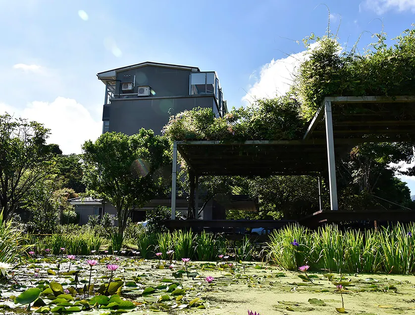 Rainbow Bridge B&B - Image 1