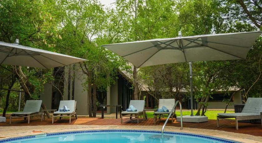 Big 5 Thaba Lodge Black Rhino Pilanesberg - Image 1