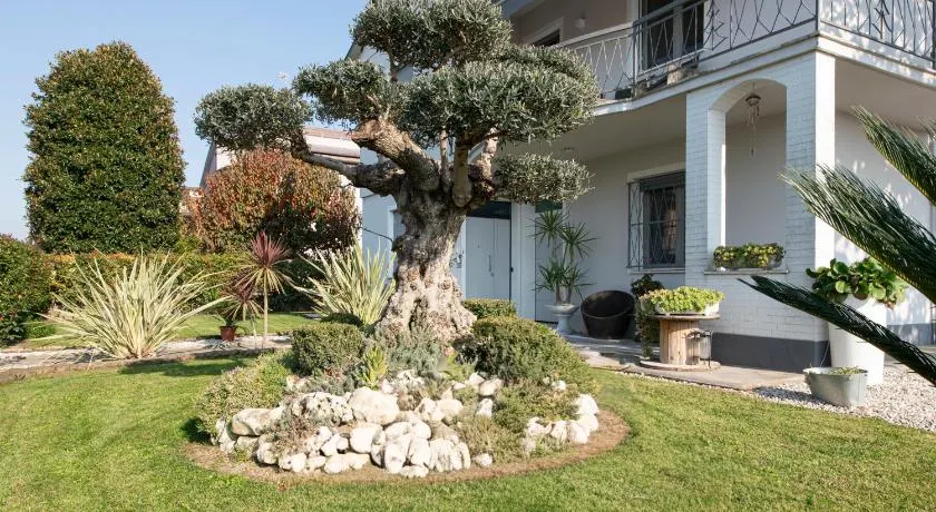 L'Ulivo bed and breakfast - Image 1