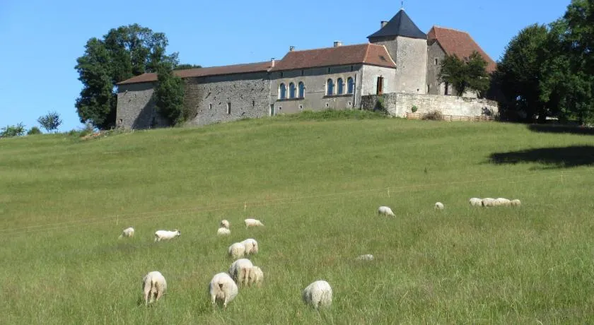 Nature et Piscine au sommet du Périgord - Image 1