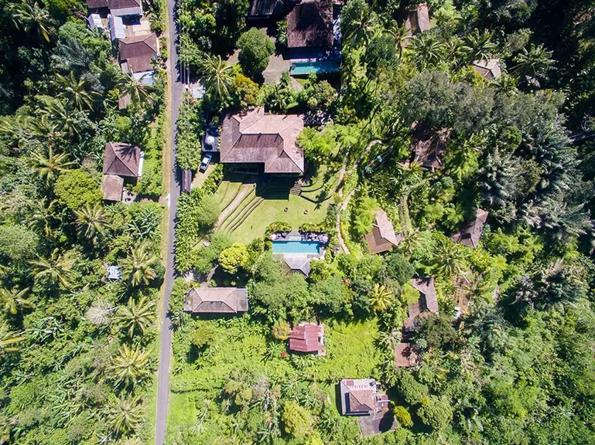 Alassari Plantation - Image 1