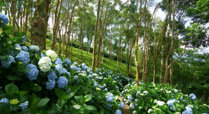 Qingshan Homestay - Image 1