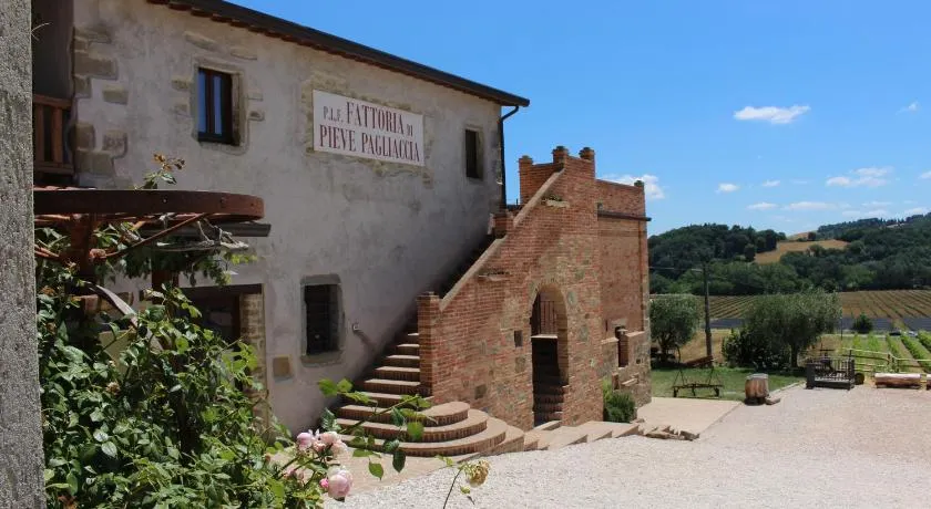 Fattoria di Pieve Pagliaccia - Cantina Brugnoni - Image 1
