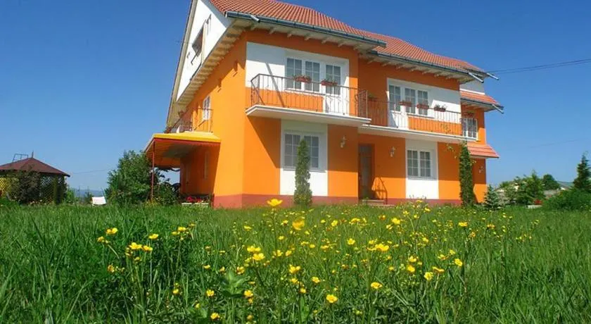 Vila Vlad - Image 1