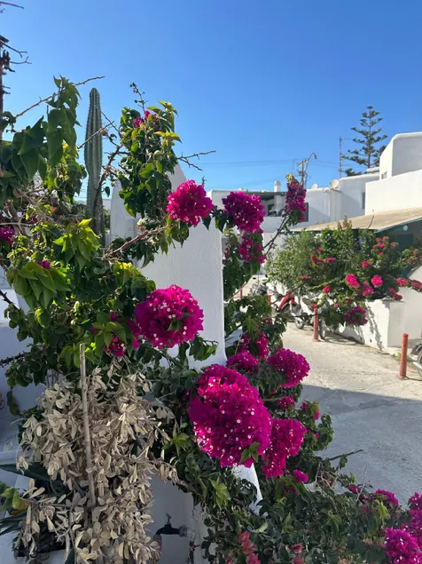 Casa Poco, 150 meters from Ornos Beach - Image 1