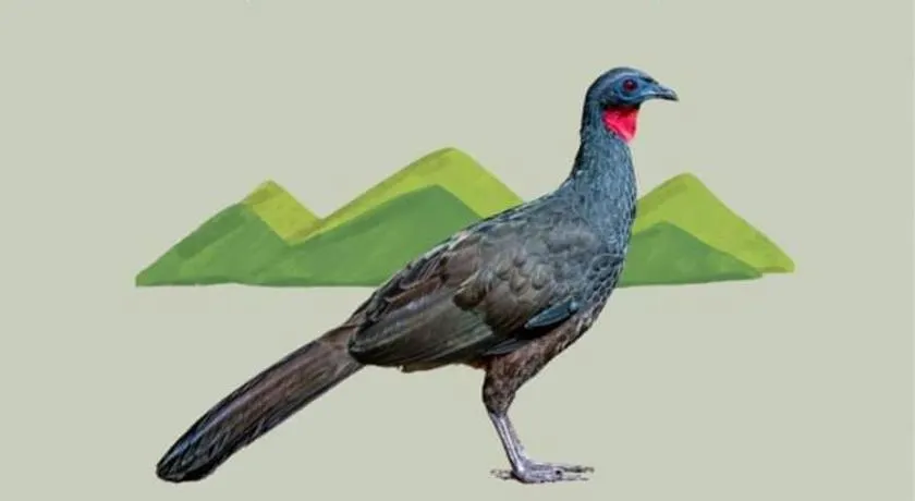 Pousada Jacu Acu - Image 1