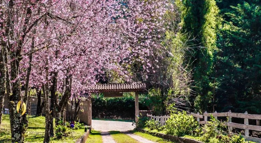 Pousada das Flores - Image 1