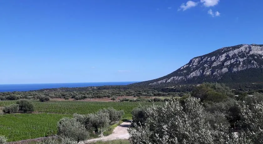 Agriturismo Su Barcu - Image 1