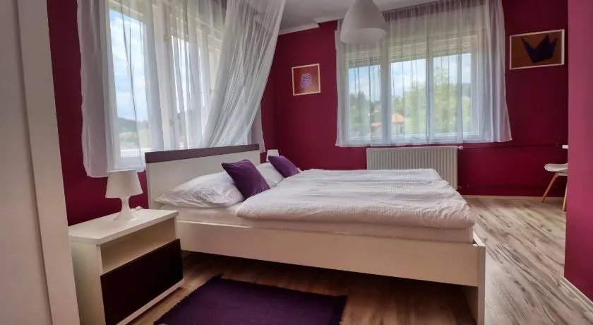 Vincze Villa Vendégház - Image 1