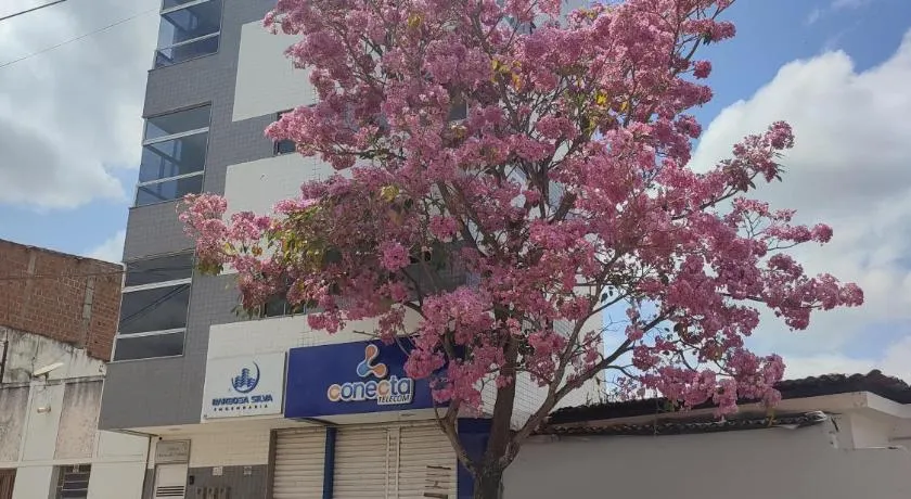 Excelente Apartamento - Image 1