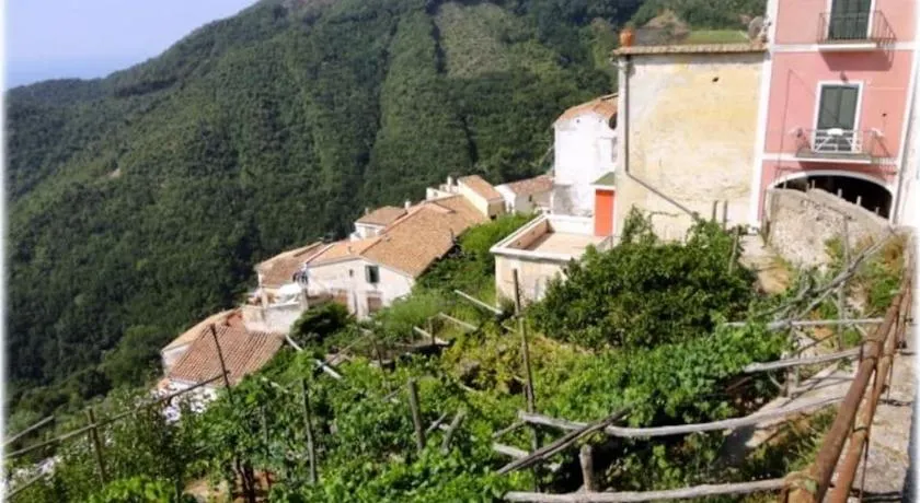 A casa di nonna Elvira - Image 1