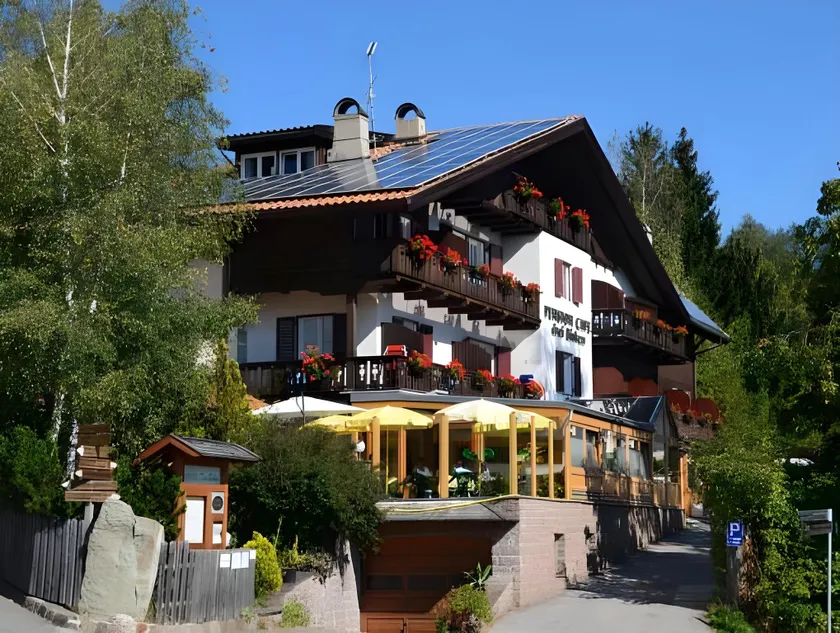 Drei Birken - Image 1