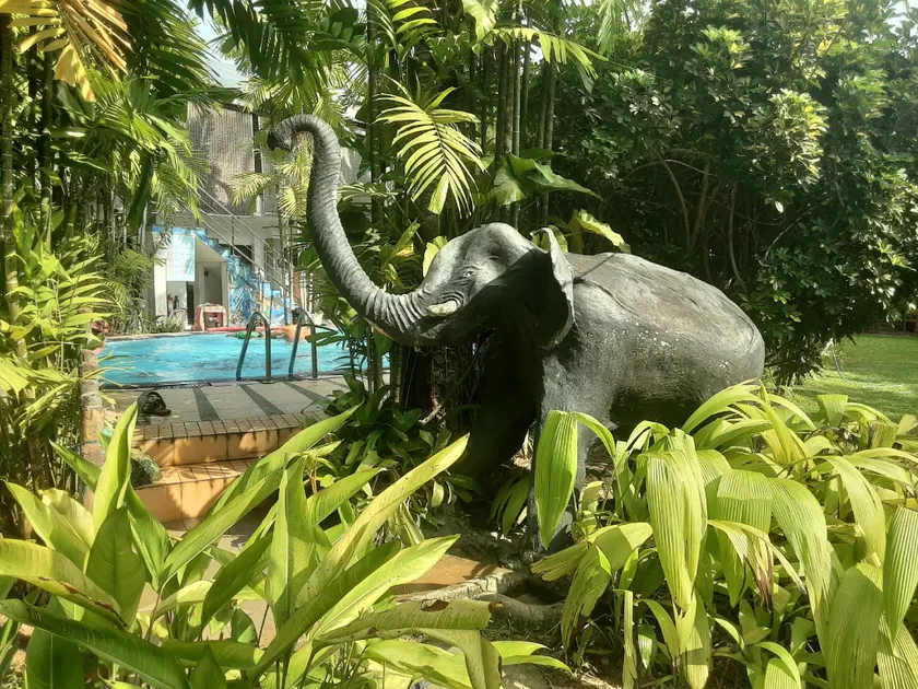 Pahalage Guesthouse - Image 1