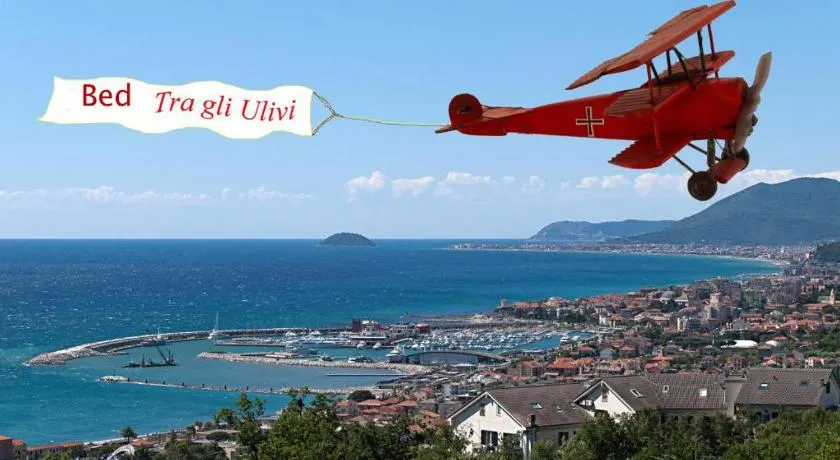 Tra Gli Ulivi - Image 1