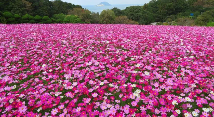 Nokoshima Island Park Villa Sakimori - Image 1