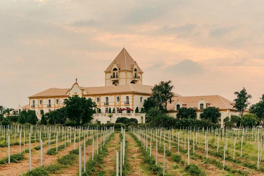 Hotel Irada - Wine Country, By Marriott, a Member of Design Hotels - Image 1