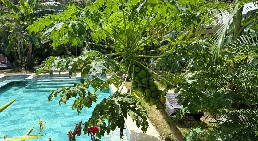 Hotel Good Life - Image 1