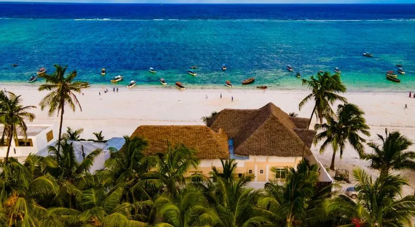 Mambo Paradise - Image 1