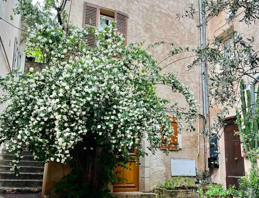 La maison Bohème - Image 1