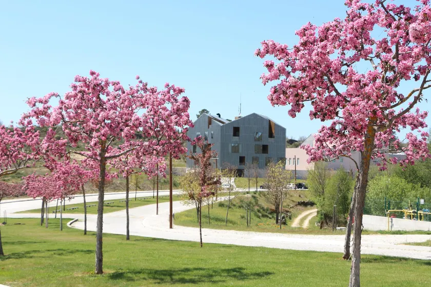 Cró Hotel Rural - Image 1