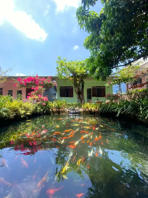 Nhà Nghỉ THẢO NGUYÊN XANH - Image 1