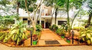 The Canopy Guest House - Image 1