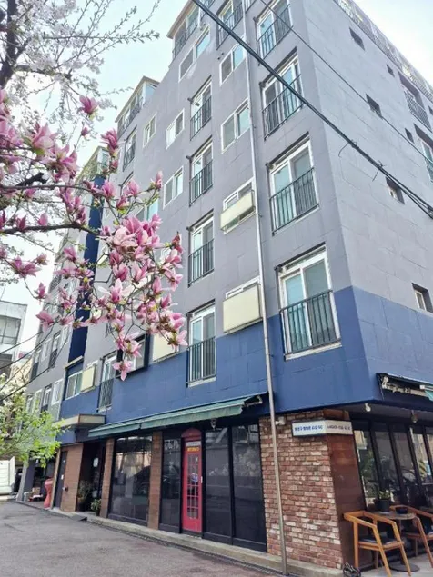 K-WON Stay - Image 1