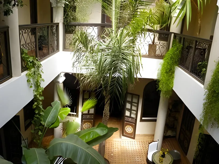 Riad Bamaga - Image 1