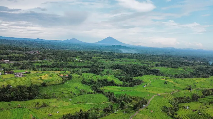 Bhuana Agung Villa and Restaurant jatiluwih - Image 1