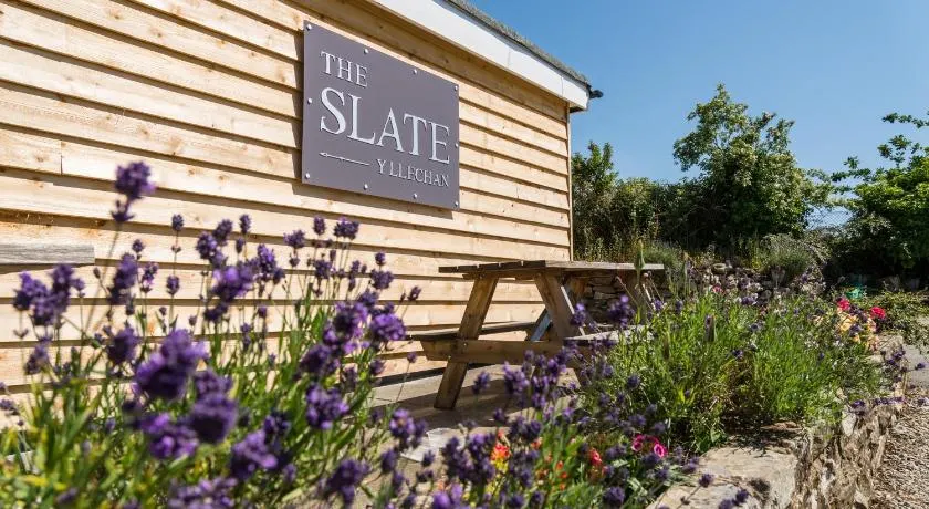 The Slate - Image 1