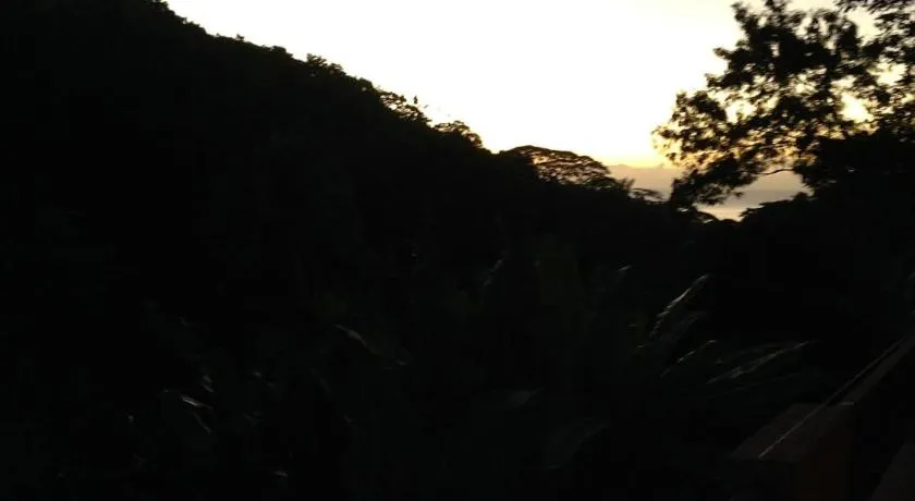 Royale attitude - Image 1