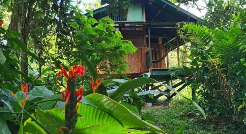 Live the Jungle - Rustic Refuge - Image 1