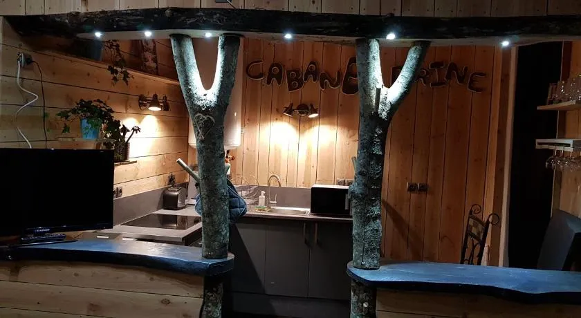 CABANE à DRINE - Image 1