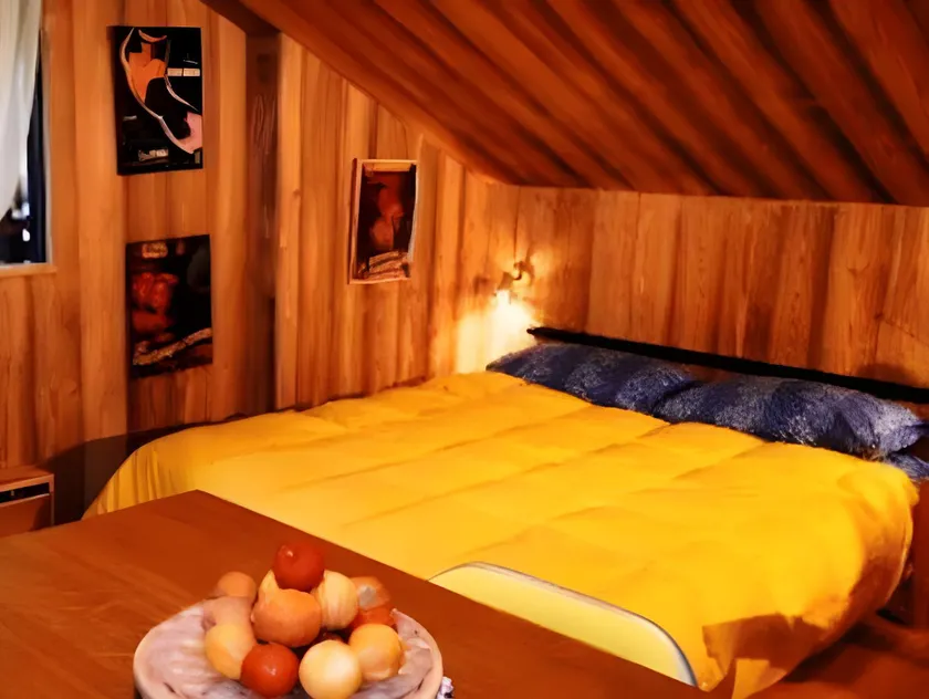 Residence Petit Tibet - Image 1