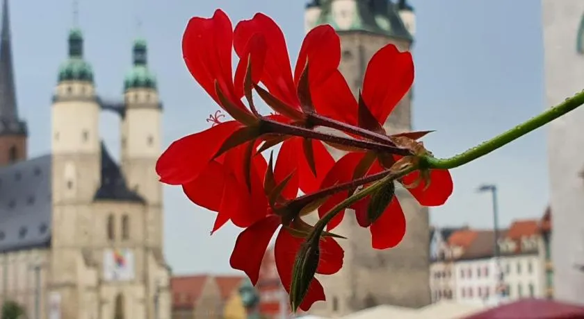 Budget rooms in Halle with shared bathroom & Free WiFi - Image 1