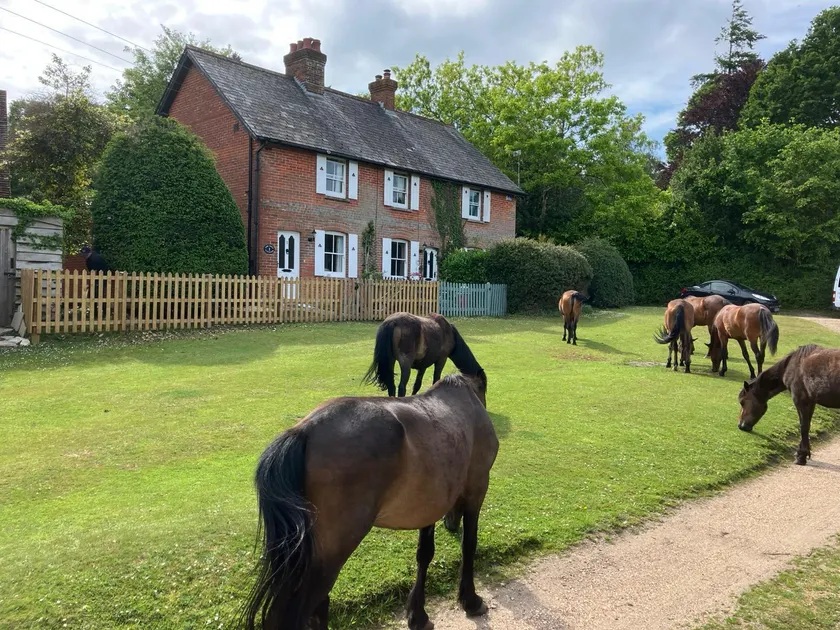 Yew Tree Cottage - Image 1