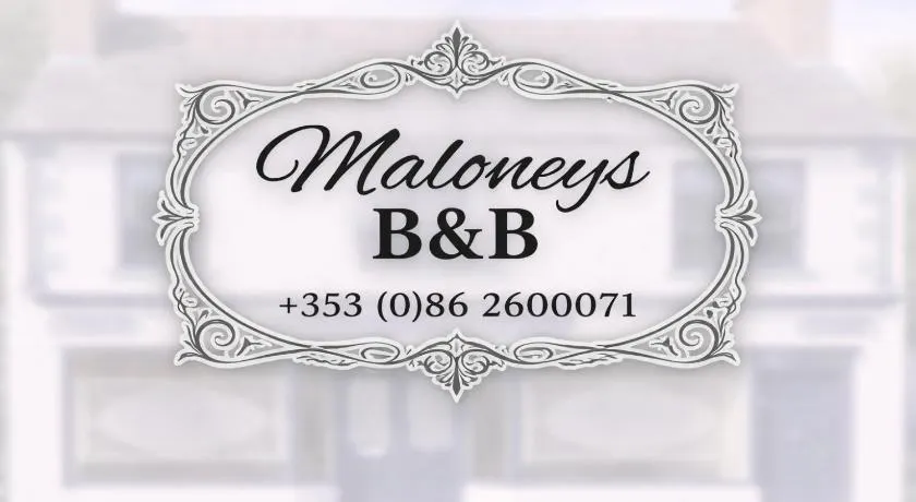 Maloney's The Square Bed & Breakfast - Image 1
