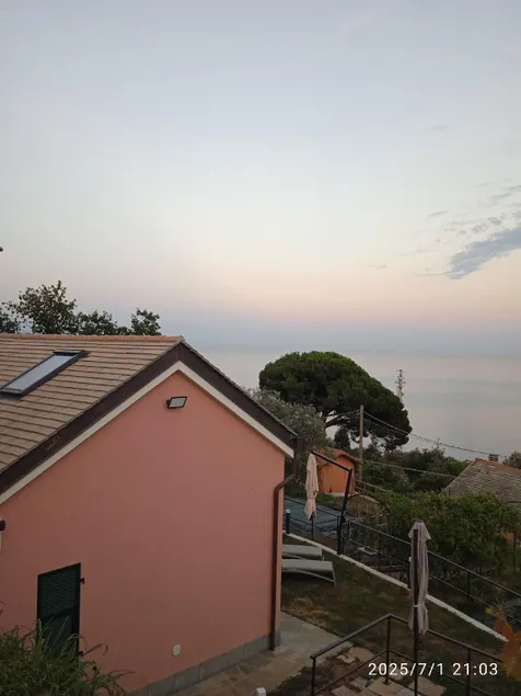 La casa tra gli ulivi - Image 1