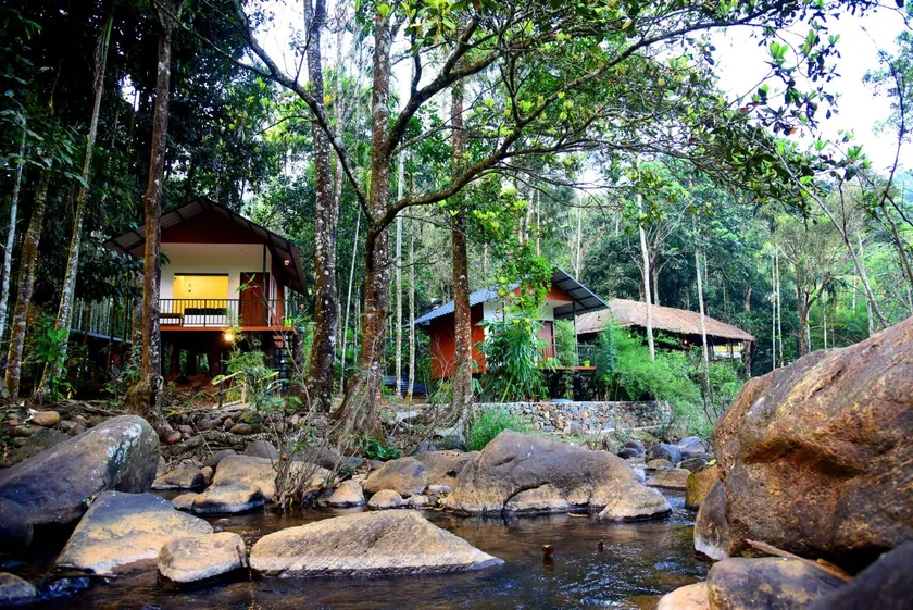 Blue creek - Image 1