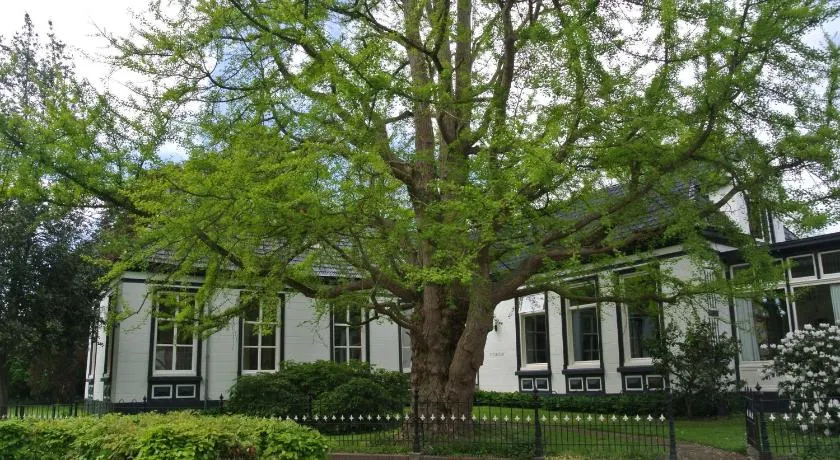 Pastorie Tijdverblijf - Image 1