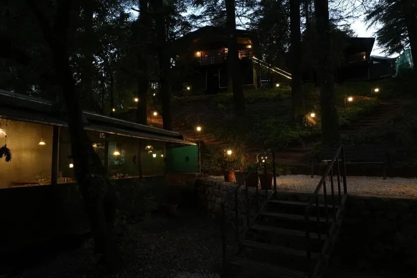 Treetop Glamps - Image 1