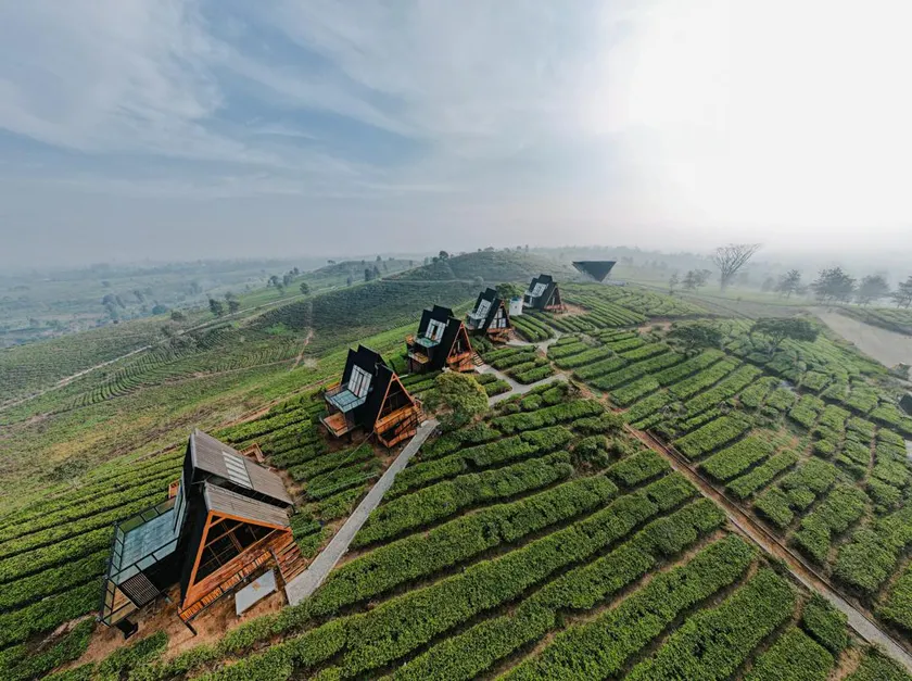 Nimo Tea Resort - Image 1