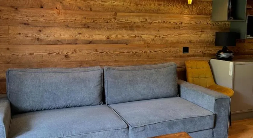 Superbe studio de montagne, au pied des pistes de ski, classé 3 étoiles - Image 1