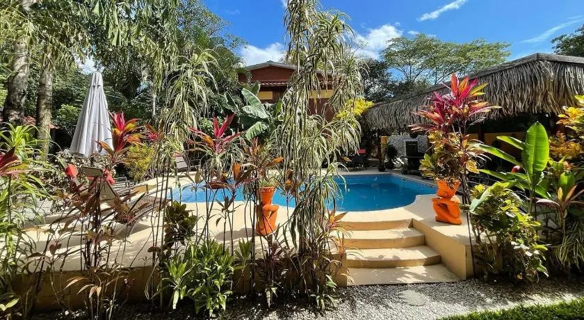Samara Palm Lodge - Image 1