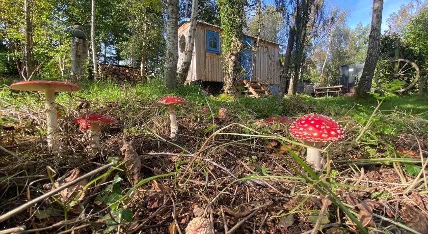 Sapphire forest garden shepherd’s hut - Image 1